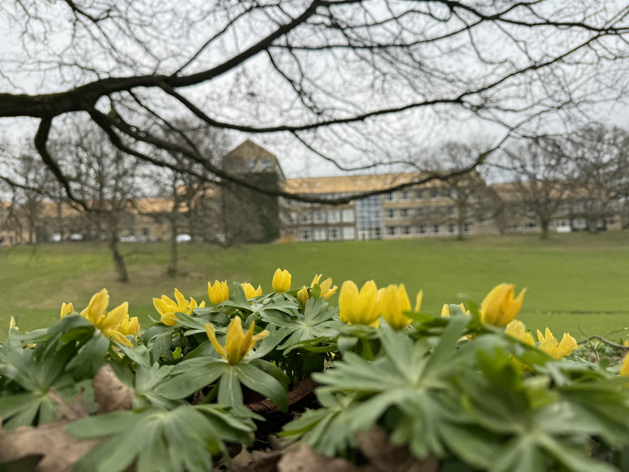 Aarhus Universitet
